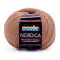 Sesia Nordica Merino DK Yarn 8ply#Colour_TAN (5570)
