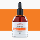 Jacques Herbin Eclats Watercolour Inks 50ml