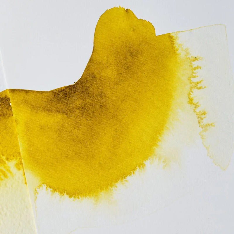 Winsor & Newton 75ml Watercolour Ox Gall Liquid