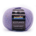 Sesia Scotland Tweed 4ply Yarn#Colour_1014