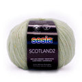 Sesia Scotland Tweed 4ply Yarn#Colour_1347