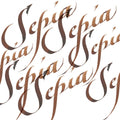 Winsor & Newton Calligraphy Ink 30ml#colour_SEPIA