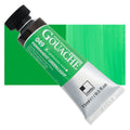 ShinHan Professional Designer Gouache Paints 15ml#Colour_PERMANENT GREEN LIGHT (A)