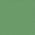 Couture Creations 12x12" 216gsm Textured Cardstock Pack of 10 Sheets#Colour_SHAMROCK