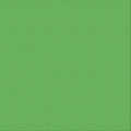Couture Creations 12x12" 250gsm Textured Cardstock Pack of 10 Sheets#Colour_LEPRECHAUN
