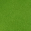 Couture Creations 12X12" 216GSM Textured Cardstock Pack of 10 Sheets#Colour_GRASS GREEN