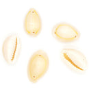 Value Craft Two Hole Cowrie Shell Beads 25g