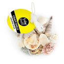 Value Craft Mixed Multicolour Shells 100g