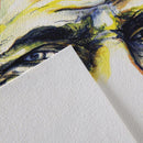 Canson "C" à grain 180 - 224gsm