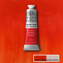 Winsor & Newton Winton Oil Colour Paint 37ml