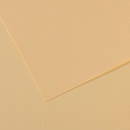 Canson Mi-Teintes 50x65cm 160gsm Paper Pack of 25 Sheets