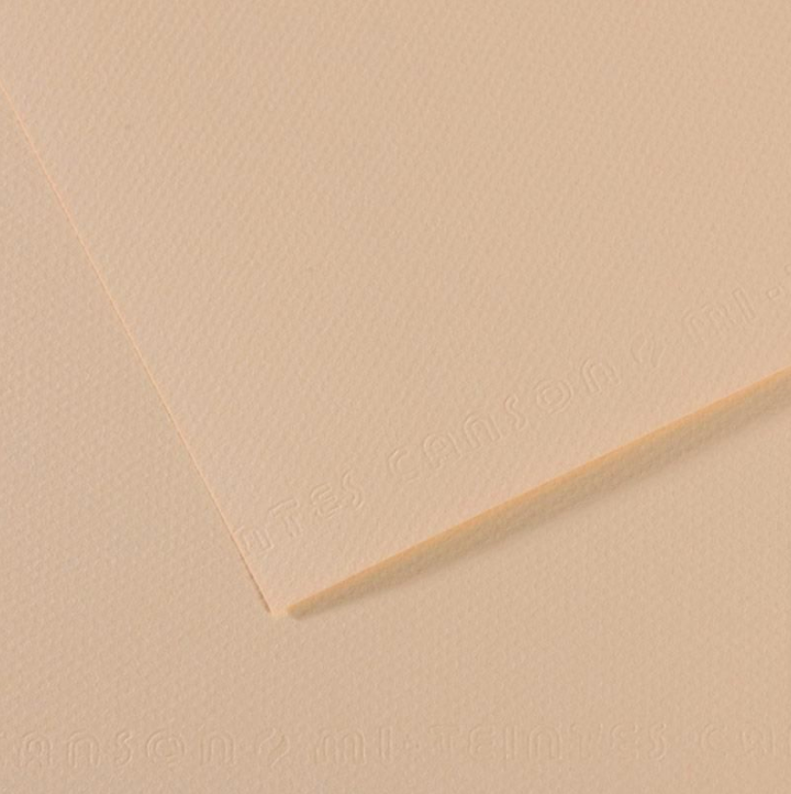 Canson Mi-Teintes 50x65cm 160gsm Paper Pack of 25 Sheets