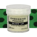 Ranger Embossing Powders 29ml