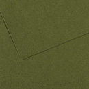 Canson Mi-Teintes 50x65cm 160gsm Paper Pack of 25 Sheets