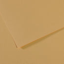 Canson Mi-Teintes 50x65cm 160gsm Paper Pack of 25 Sheets