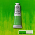 Winsor & Newton Winton Oil Colour Paint 37ml#Colour_PHTHALO YELLOW GREEN