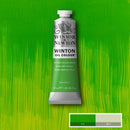 Winsor & Newton Winton Oil Colour Paint 37ml