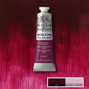 Winsor & Newton Winton Oil Colour Paint 37ml