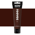 Reeves Intro Acrylic Paint 100ml#Colour_RAW UMBER