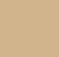 Fabriano Tiziano Pastel Sheets 160gsm 50x65cm Sheet - 10 Sheets#Colour_TAN