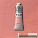 Winsor & Newton Winton Oil Colour Paint 37ml