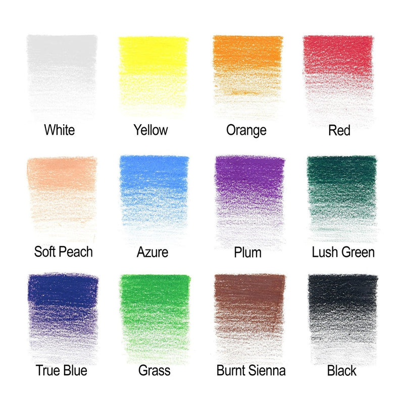 Winsor & Newton Studio Coloured Pencil Tin of 12