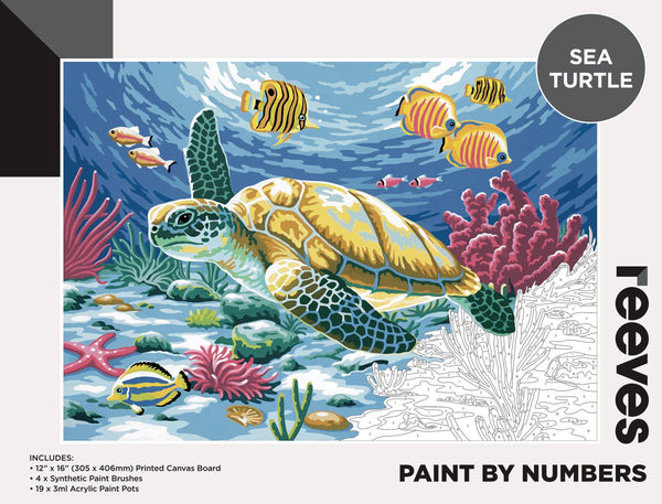 Reeves Paint By Numbers 12x16inch Turtle