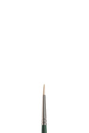 Winsor & Newton Winton Hog Long Handle Round Brushes