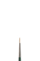 Winsor & Newton Winton Hog Long Handle Round Brushes
