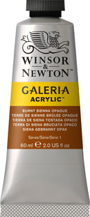 Winsor & Newton Galeria Acrylic Paint 60ml