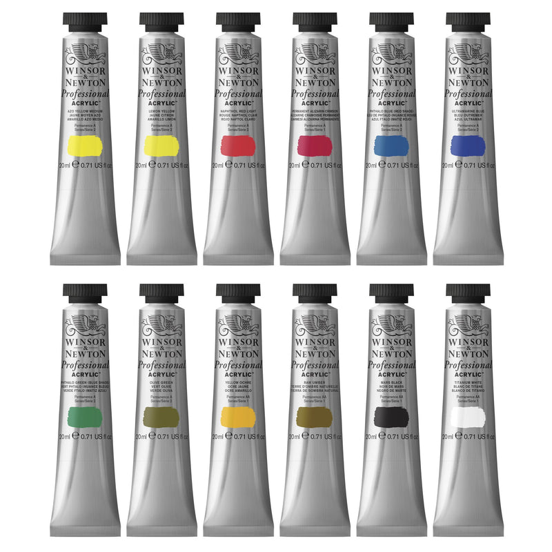 Winsor & Newton Professional Acrylic Paint 20ml - Set Of 12