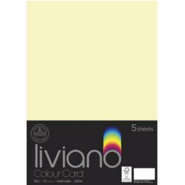 THE PAPER HOUSE LIVIANO COLOUR CARD 300GSM A3 PACK OF 5