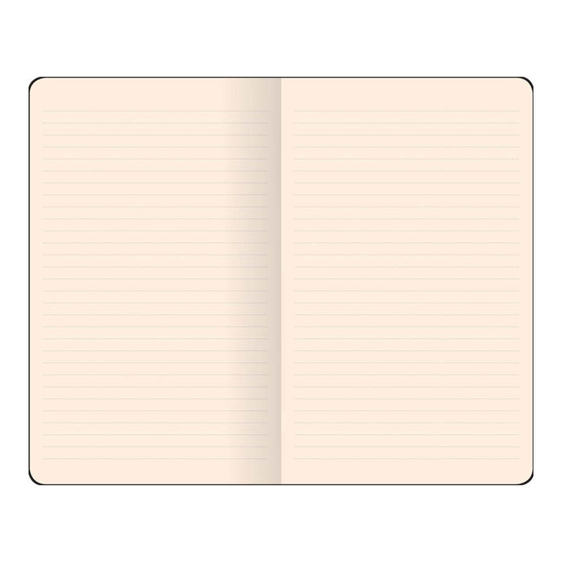 flexbook smartbook notebook pocket ruled