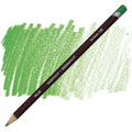 Derwent Coloursoft Pencil#Colour_PEA GREEN