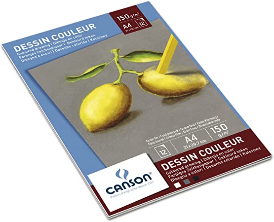 Canson Pastel Pad A4 150gsm (12 Sheets)