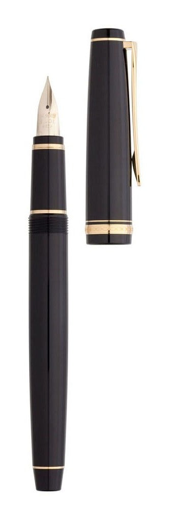 pilot falcon resin trim fountain pen FINE#colour_GOLD