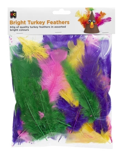 EC Turkey Feathers Pack 60G#Colour_BRIGHT