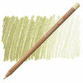 Caran D'ache Luminance 6901 Coloured Pencils#Colour_OLIVE BROWN 10%