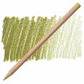 Caran D'ache Luminance 6901 Coloured Pencils#Colour_OLIVE BROWN 50%