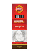 Koh-I-Noor Progresso Woodless Graphite Sticks Set Of 6