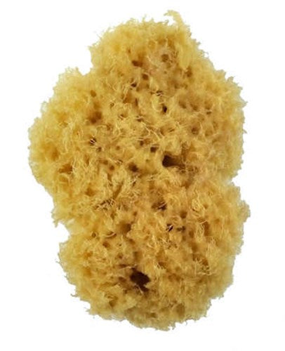 Royal 2006 3 Inch Sea Wool Sponge