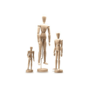 Jasart Manikin Wooden 12 Inch Male