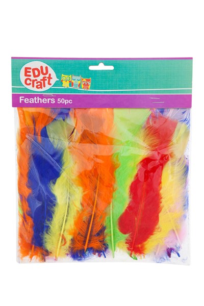 Educraft Turkey Feathers 70mm Pack Of 50 Assorted Colours