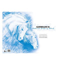 Warwick Students Drawing Block Refill A2 20 Leaf Punched 120gsm