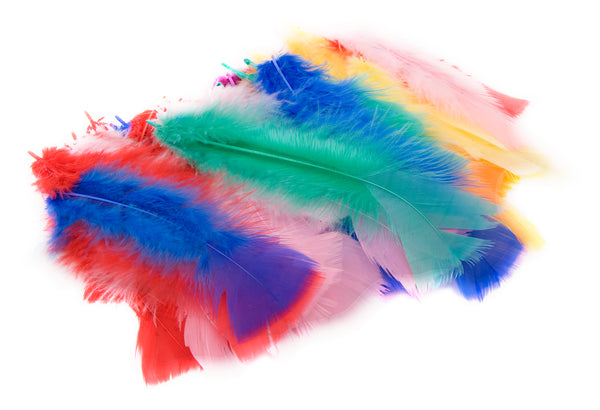 Das Feathers Assorted Colours#pack size_PACK OF 45
