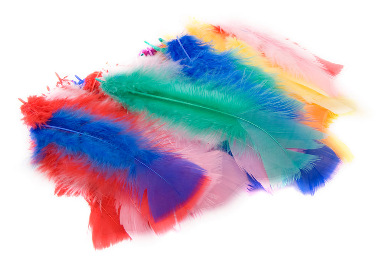 Das Feathers Assorted Colours