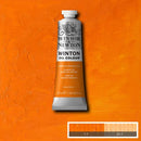 Winsor & Newton Winton Oil Colour Paint 37ml