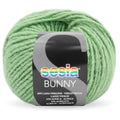 Sesia Bunny Yarn 14ply#Colour_SAGE GREEN (6729)