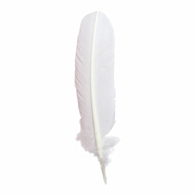 Jacques Herbin Goose Quill 28cm