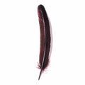 Jacques Herbin Goose Quill 28cm#Colour_BURGANDY